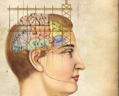 best nootropic stack for studying