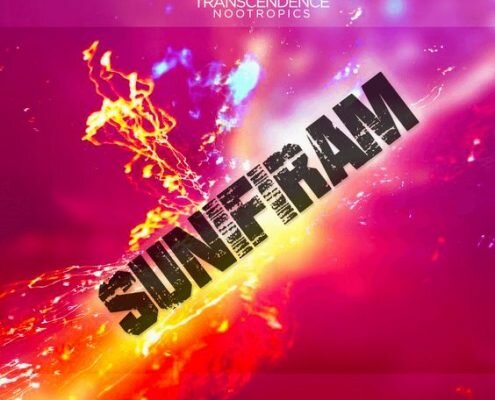 sunifiram nootropic review