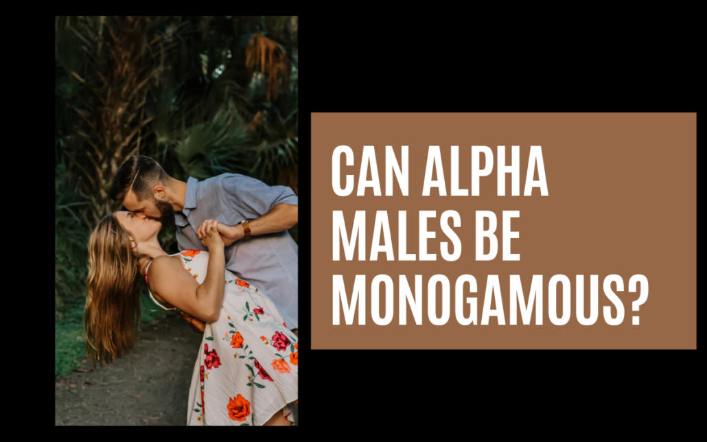 Can Alpha Males Be Monogamous