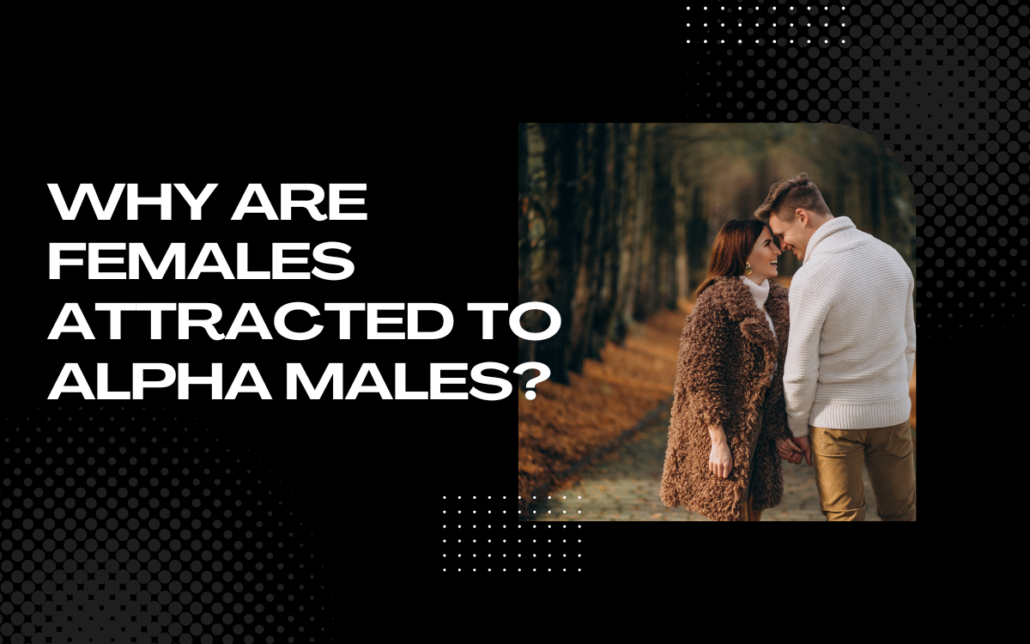 Why Are Females Attracted to Alpha Males